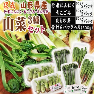 3種300g】山形県産促成山菜＜行者にんにく・青こごみ・たらの芽＞(冷蔵