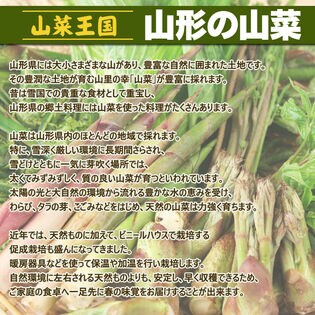 500g】山形県産 促成山菜 行者にんにく 50g×10パック(クール便)を税込