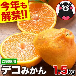 4.5kg】熊本県産デコみかん(ご家庭用) デコポン・不知火と同品種を税込