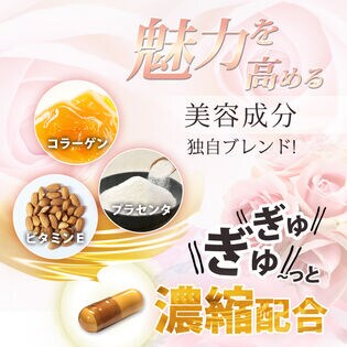 日替数量限定】【1袋/約3ヶ月分】プリンセスローザ(1袋90粒入)~飲む ...