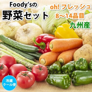 〈クール便でお届け〉野菜セット 8~14品目 九州産【sg】
