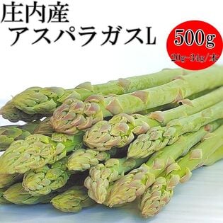 【500g】 山形県産アスパラガス 山形県庄内産 (1本あたり20~34g) クール便