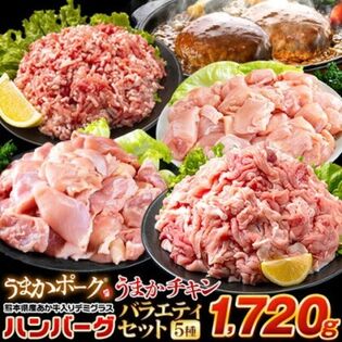 【日替数量限定】【5種/計1720g】 お肉5種 大容量バラエティセット【先行チケット利用NG】