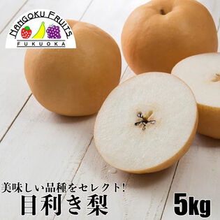 【九州】約5kg  目利き梨