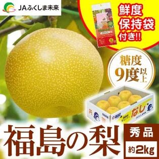 【予約受付】9月下旬~順次出荷【約2kg(5~7玉) 】福島の梨