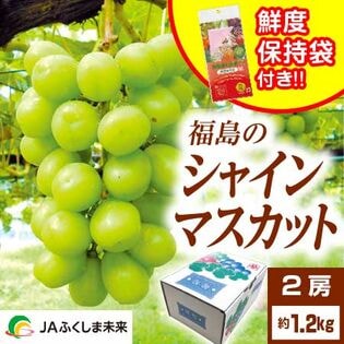 【予約受付】10月上旬~順次出荷【2房(約1.2kg) 】福島のシャインマスカット