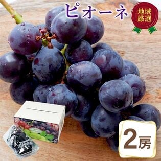 【2房計約640g/約320g×2房】地域厳選ピオーネ