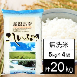 【計20kg/5kgx4袋】新米 令和6年産 越後の米 新潟県産 こしいぶき 無洗米