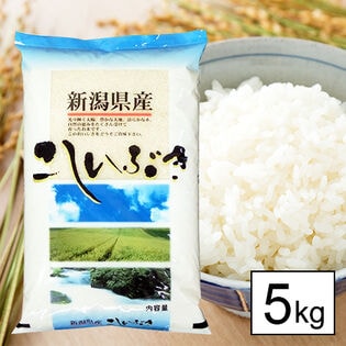 【5kg】新米 令和6年産 越後の米 新潟県産 こしいぶき 白米