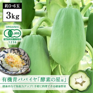 【3kg（約3-6玉）】有機青パパイヤ「酵素の星」