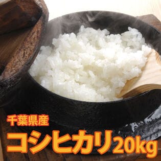 【20kg(5kg×4袋)】令和6年産 新米 千葉県産コシヒカリ