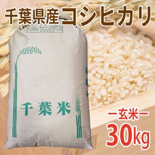 【30kg×1袋】令和6年産 新米 玄米 千葉県産コシヒカリ