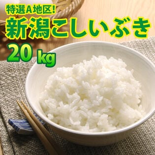 【20kg (5kg×4袋)】令和6年産 新米 大人気 新潟県上越産こしいぶき