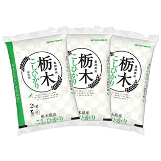 【計6kg/2kg×3袋】新米 令和6年産 栃木県産コシヒカリ 白米