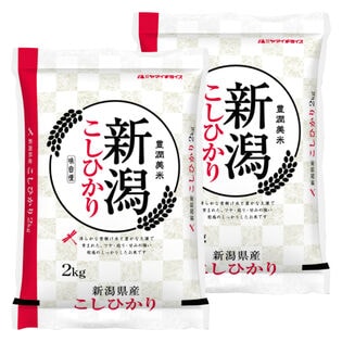 【計4kg(2kg×2袋)】新米 令和6年産 新潟県産コシヒカリ 白米