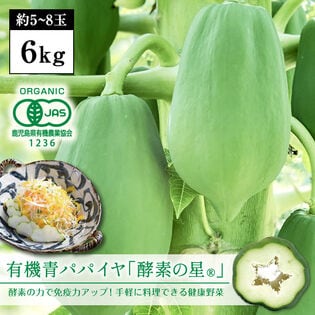 【6kg（約5-8玉）】有機青パパイヤ「酵素の星」