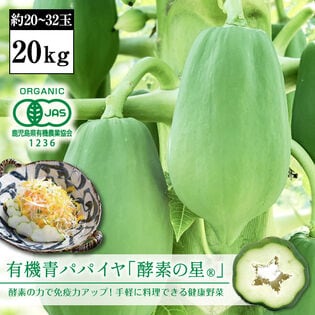 【20kg（約20-32玉）】有機青パパイヤ「酵素の星」