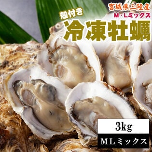 【3kg/MLミックス】宮城県三陸産 殻付き冷凍牡蠣  冷凍 (1個あたり120~250g)