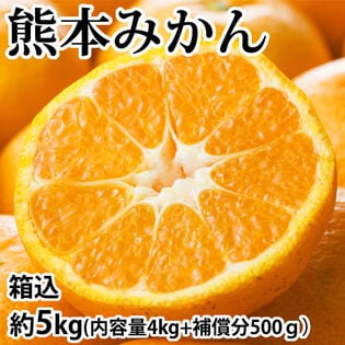 【予約受付】11/19~順次出荷【箱込約5kg】熊本みかん (ご家庭用・傷あり)