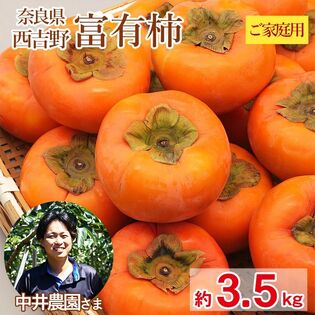 【予約受付】11/10~順次出荷【約3.5kg】大きさお任せ 富有柿 ご家庭用