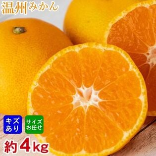 【予約受付】11/10~順次出荷【約4kg】厳選 温州みかん(ご家庭用・傷あり)