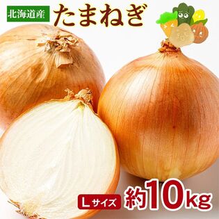 【約10kg/Lサイズ】北海道 産 玉ねぎ ご家庭用