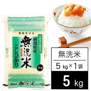 【5kg】新米 令和6年産 越後の米 新潟県産 コシヒカリ 無洗米