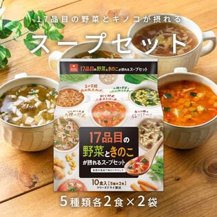 【計20食/5種各2食×2袋】アスザックフーズ 17品目の野菜ときのこが摂れるスープセット