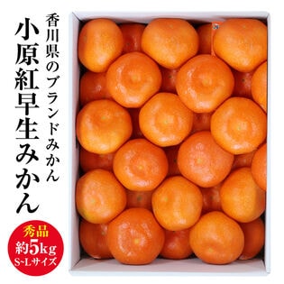 【予約受付】12/6~順次出荷【秀品 約5.0kg(S-L)】香川県産 小原紅早生みかん