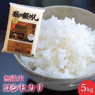 【5kg】無洗米 新潟県産こしひかり≪令和6年産≫