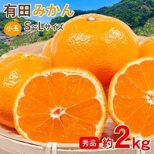 【予約受付】11/15~順次出荷【約2kg/S~Lサイズ】《秀品》和歌山県産 有田みかん