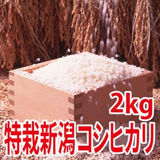 【2kg×1袋】令和6年産 新米  特別栽培米新潟県阿賀野産コシヒカリ