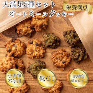 【日替数量限定】【5種/500g(100g×5袋)】オートミールクッキー(5種各1袋セット)※割れ欠けあり【先行チケット利用NG】