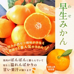 【予約受付】11/20~順次出荷【約4kg】和歌山県産 厳選小みかん