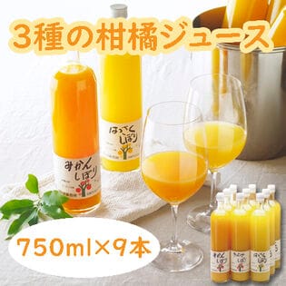 【計9本セット】「伊藤農園」 3種の柑橘ジュース飲み比べセット