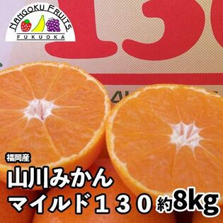 【福岡】約8kg　山川みかん マイルド130