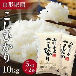 【10kg】令和6年 山形県産 こしひかり(5kg×2袋)