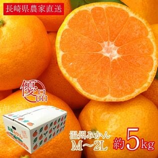 【約5kg/M~2Lサイズ】長崎温州みかん(優品)ご家庭用