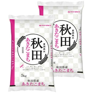 【計10kg/5kg×2袋】令和6年産 秋田県産 あきたこまち 白米