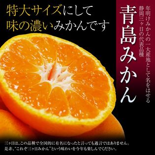 【約7kg/3~4Lサイズ】静岡県産 三ヶ日みかん（青島種）産地箱