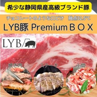 【5種計2.5kg】静岡県産ブランド豚「LYB豚/ルイビ豚P」REMIUM BOX