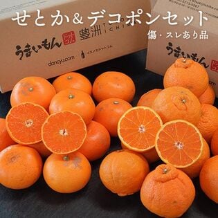 【計約4kg/各約2kg】せとか＆デコポンセット ご自宅用 傷・スレあり品