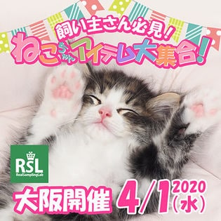 リアルサンプリングラボ(RSL)】イチ押しネコ用品満載！～ネコとワタシ 