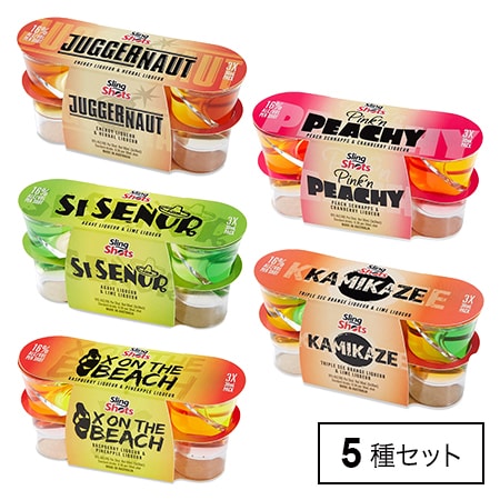 5種セット 5つの味わいが楽しめるスリングショット飲み比べセットを税込 送料込でお試し サンプル百貨店 株式会社都光