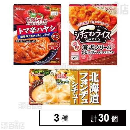 レトルト完熟トマトのハヤシライスソース トマ辛ハヤシ/レトルト