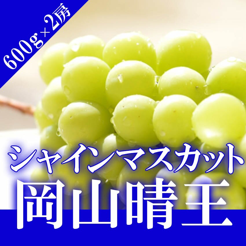 予約】7/15~順次発送【600g×2房】岡山県産 シャインマスカット 晴王