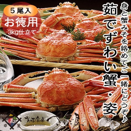 約3kg（5ハイ)】【ボイル】ずわい蟹姿5ハイたっぷり食べ放題を税込