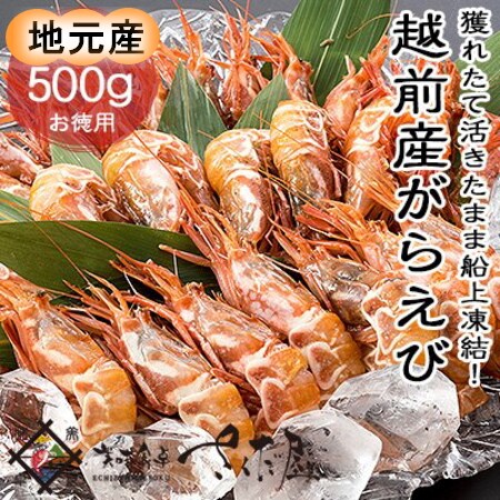 500g 甘味 旨味共に抜群の海老 越前 がらえび がすえび 白とらえび えび刺し 焼えび を税込 送料込でお試し サンプル百貨店 美味食卓さくだ屋