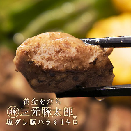 1kg 500g 2 三元豚太郎ハラミを税込 送料込でお試し サンプル百貨店 The Oniku 肉の卸問屋アオノ