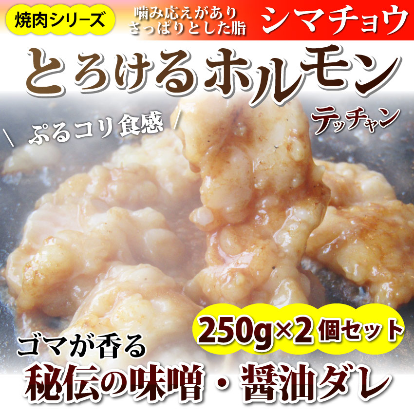 500g(250g×2)】牛テッチャン タレ漬けホルモン（シマチョウ） 焼肉用を